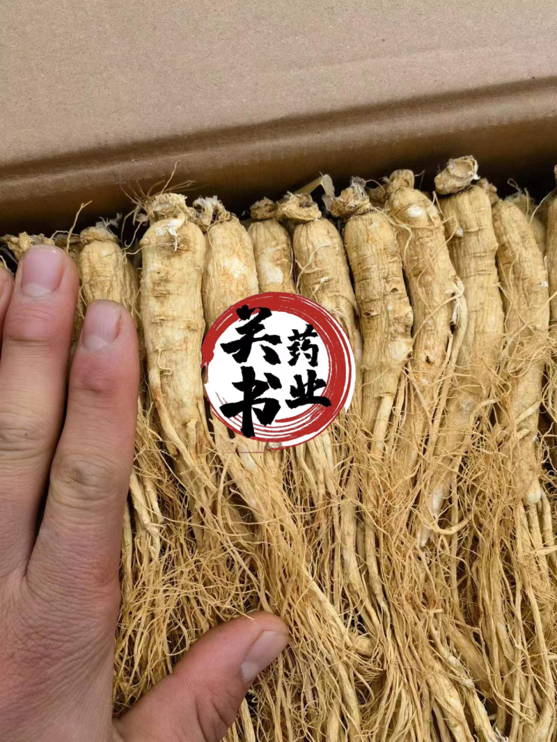 人参无硫原皮白须参45支批发各种规格参类