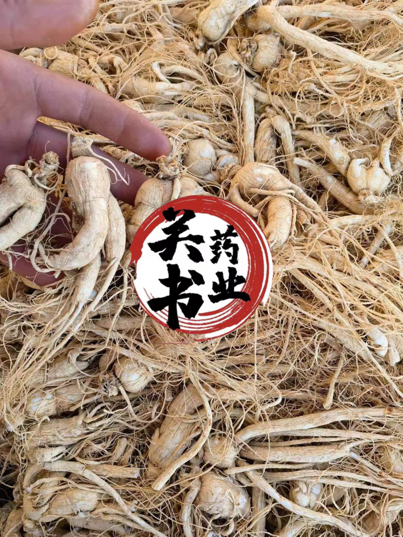 人参无硫原皮白须参45支批发各种规格参类