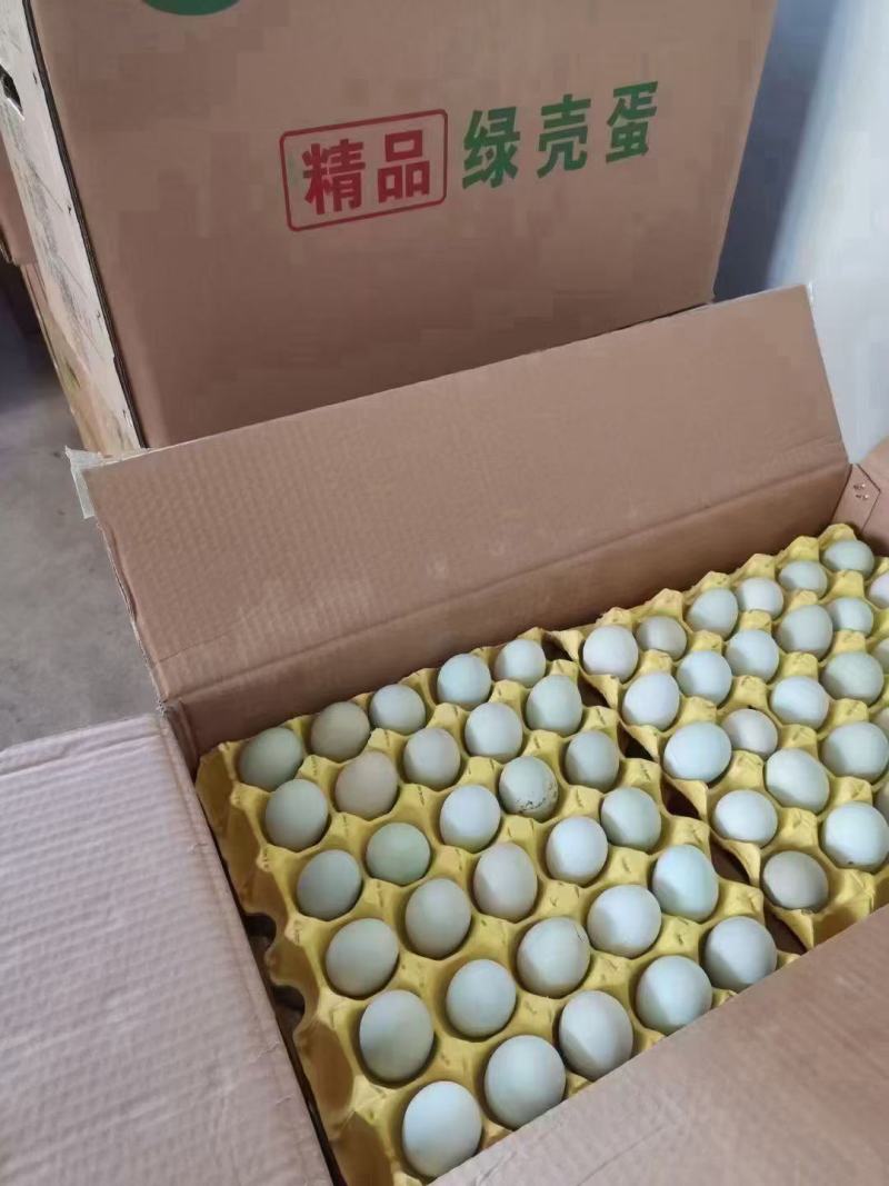 【推荐】粗粮绿壳蛋360枚/重33斤/一手货源