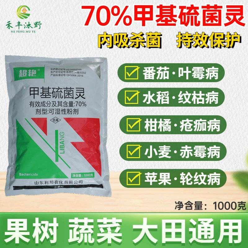 70%甲基硫菌灵农用番茄蔬菜叶霉病炭疽病专用农药杀菌