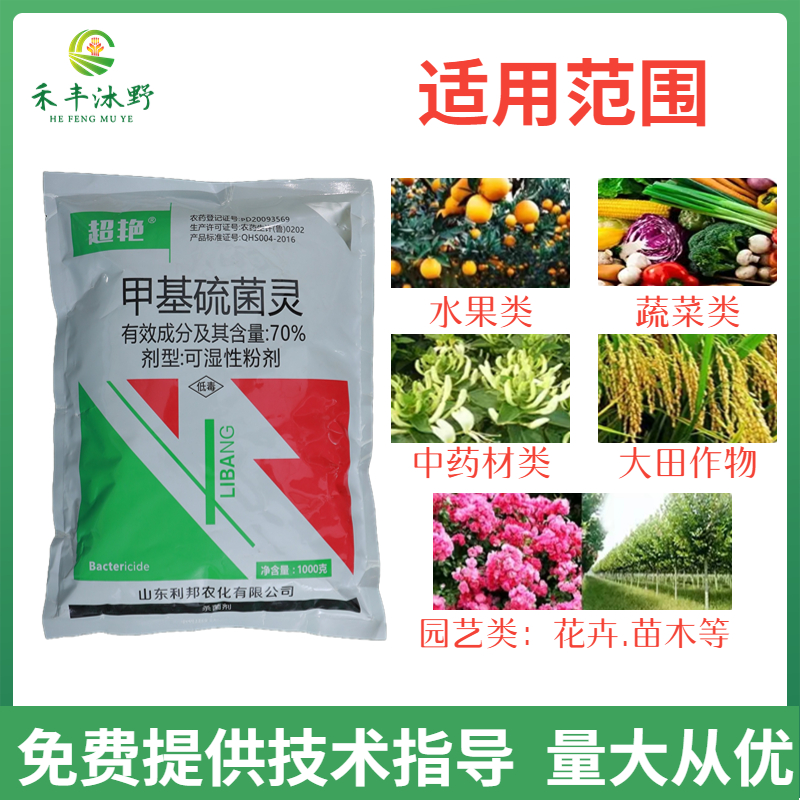 70%甲基硫菌灵农用番茄蔬菜叶霉病炭疽病专用农药杀菌