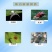 海纳科满安23%阿维乙螨唑柑橘红蜘蛛杀螨剂正品农药批发