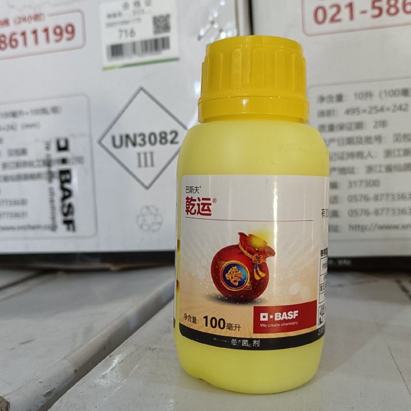 巴斯夫乾运柑橘溃疡病、黄瓜细菌性角斑病等细菌性病害