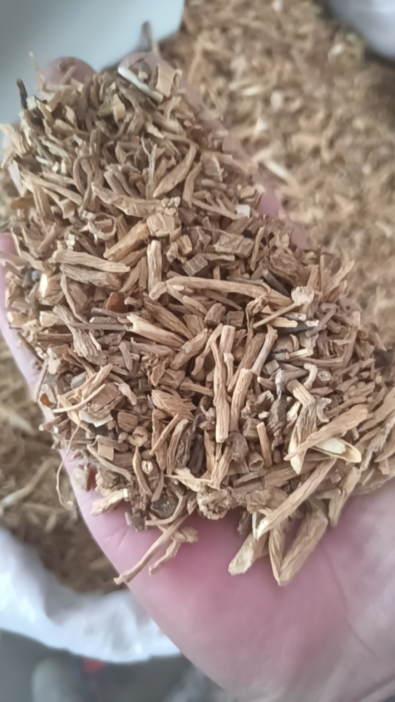 银柴胡甘肃中药材银柴胡批发零售各种中药材