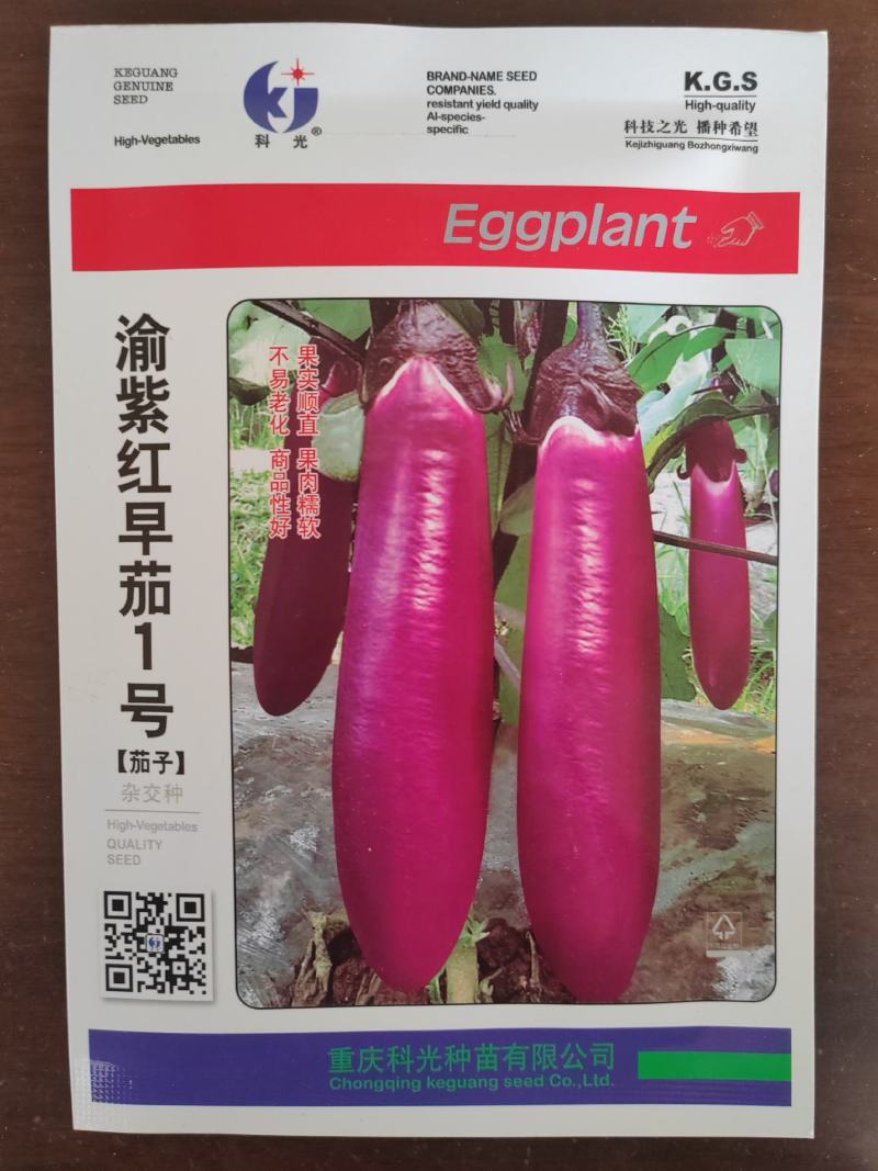 渝紫红早茄1号种子粗红茄子种子短红茄种子亮红色