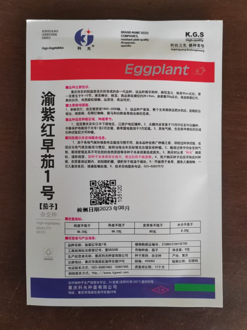 渝紫红早茄1号种子粗红茄子种子短红茄种子亮红色