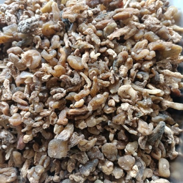黄精