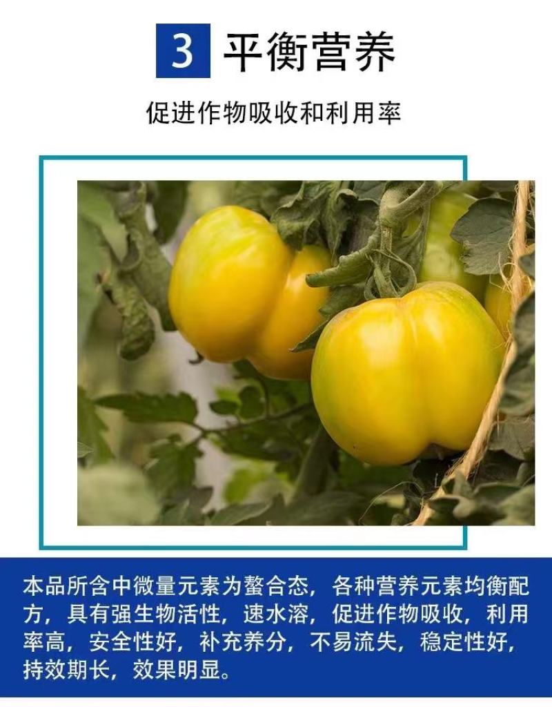 磷酸二氢钾叶面肥吸收好效果明显根茎粗壮增加产量