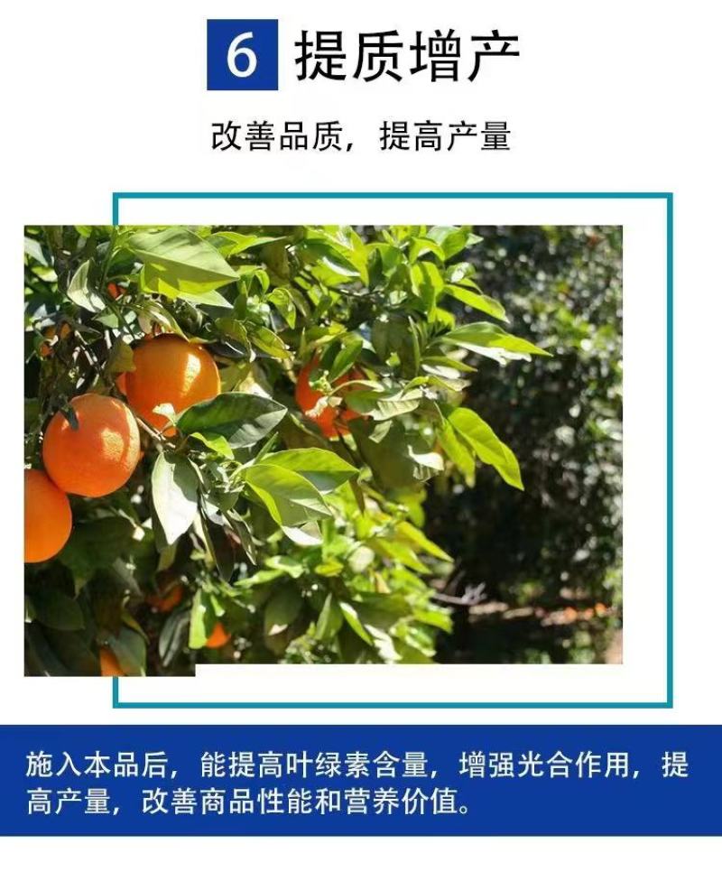 磷酸二氢钾叶面肥吸收好效果明显根茎粗壮增加产量