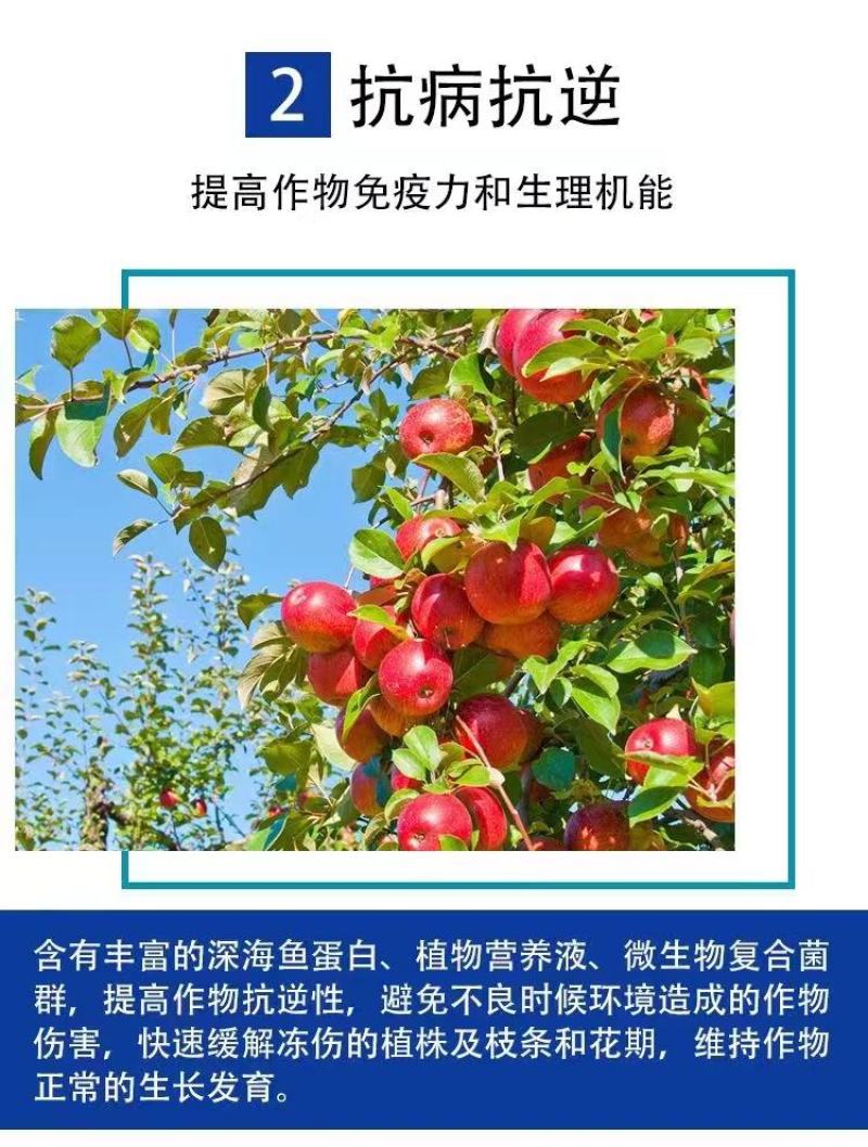 磷酸二氢钾叶面肥吸收好效果明显根茎粗壮增加产量