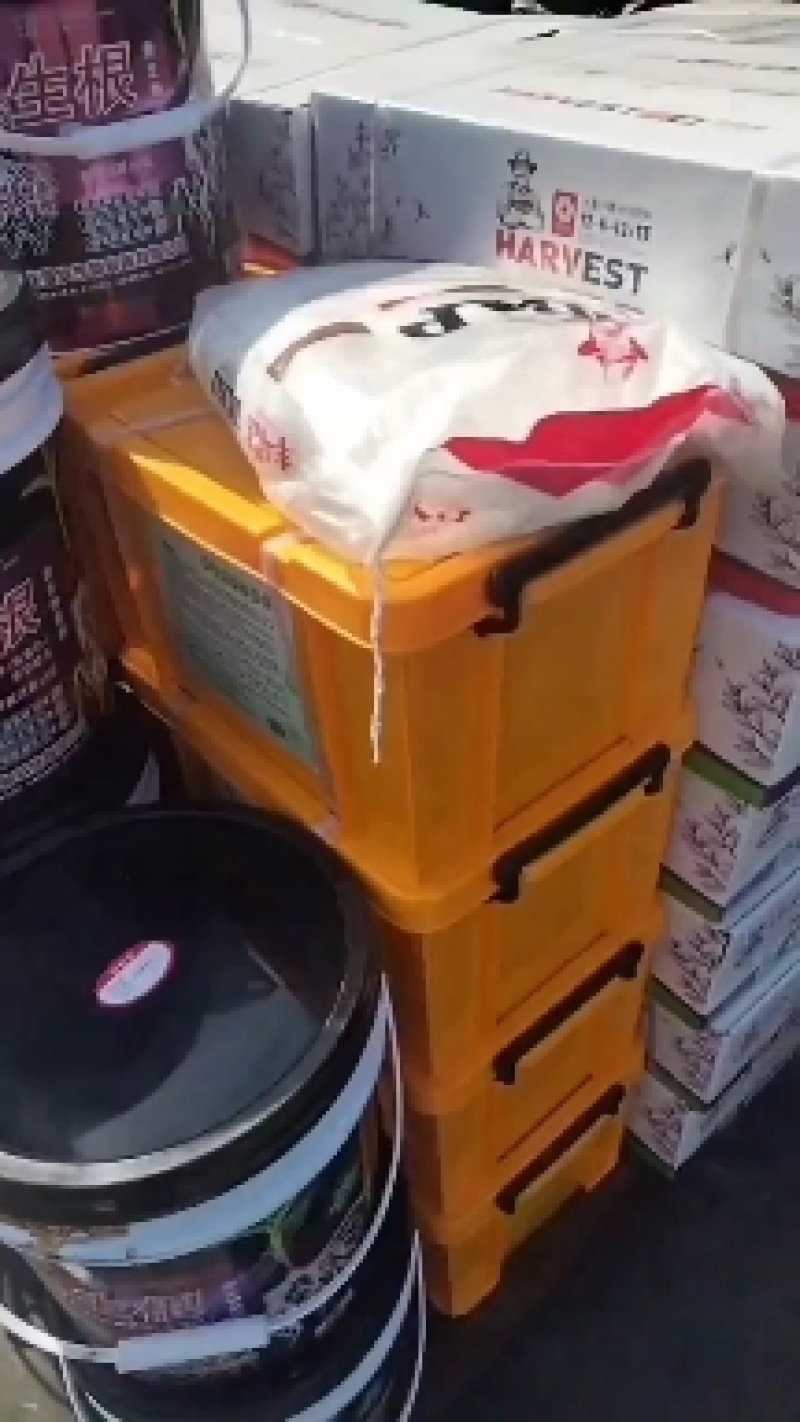 磷酸二氢钾叶面肥吸收好效果明显根茎粗壮增加产量