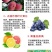 糖醇钙叶面肥优质钙源防裂果，畸形果，提升果实品质，抗逆