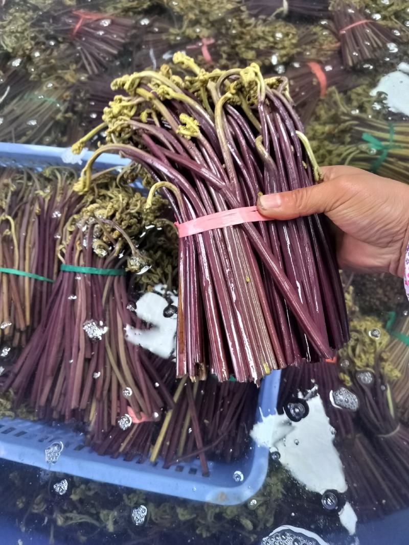 产地一手货源、绿色杀青纯盐渍捆把切除老化根色泽嫩度可以！