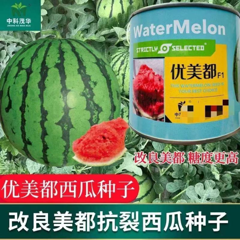 【正品保证】中科优美都西瓜水果种子金美都西瓜种子改良麒麟