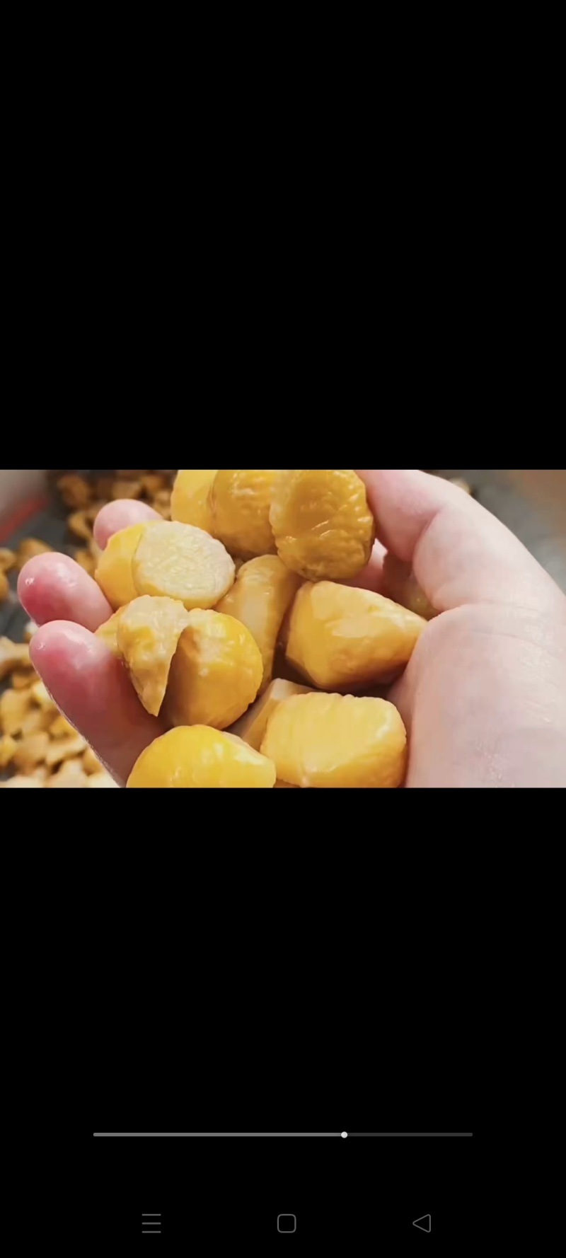嘉兴风味粽