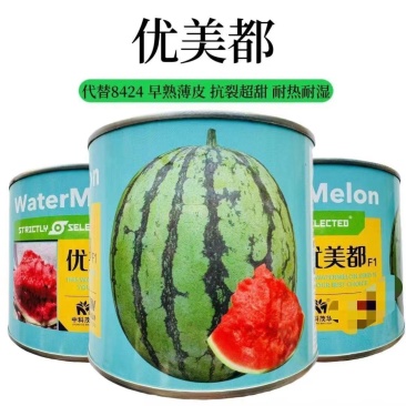 【正品保证】中科优美都西瓜水果种子金美都西瓜种子改良麒麟