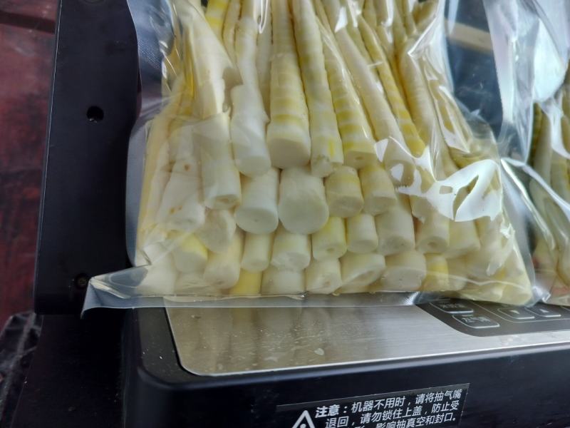 高山小竹笋！