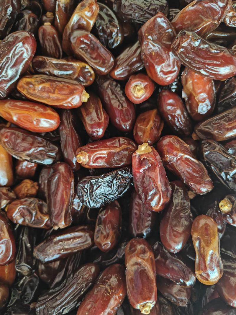优选精品伊朗黑椰枣一手货源，现货批发，保质保量，量大优惠