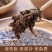【精选】水洗无沙无泥梅干菜大量现货供应产地一手货源直发
