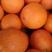 纽荷尔脐橙秭归纽荷尔脐橙果大皮薄纯甜果园现摘现发保质保量