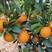 奉节纽荷尔脐橙，产地直发，保质保量，欢迎前来选购