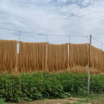 产地沂蒙山红薯粉条大量生产对接电商市场零卖