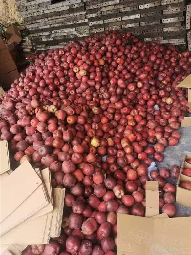 天水花牛冷库仓储急需出库，量大从优欢迎老板前来选购可视频