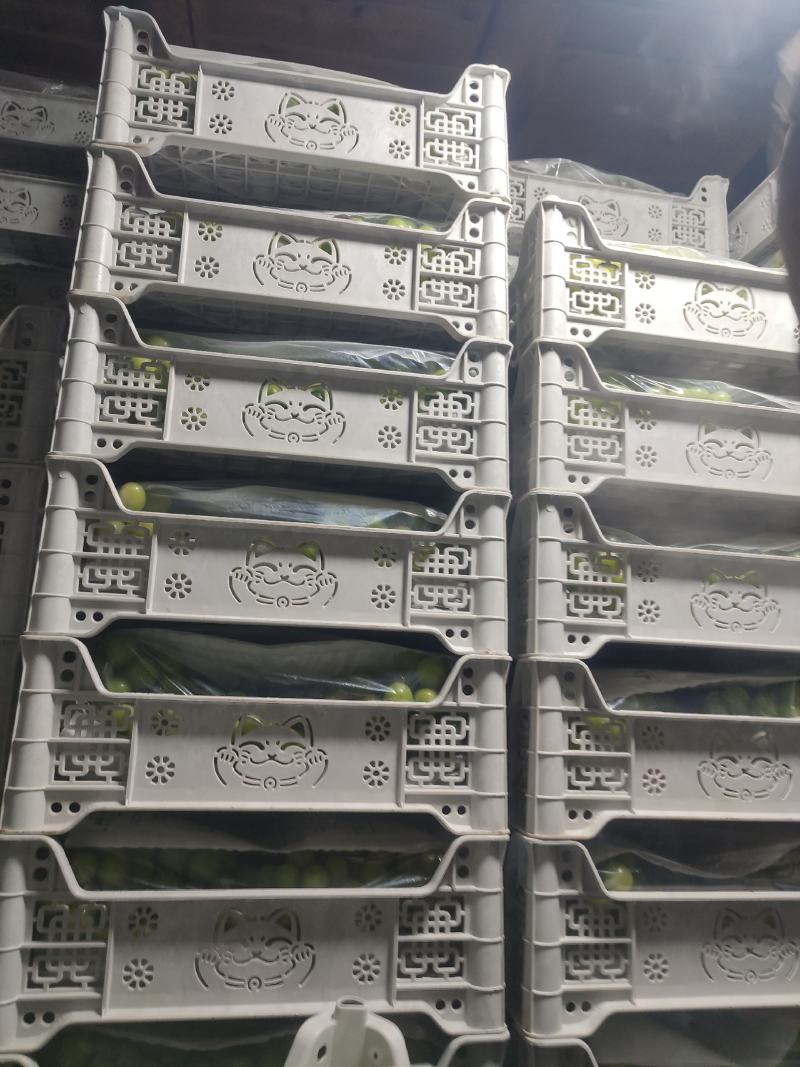 辽宁北镇晴王阳光玫瑰葡萄产地直发市场商超一手货源来电详谈