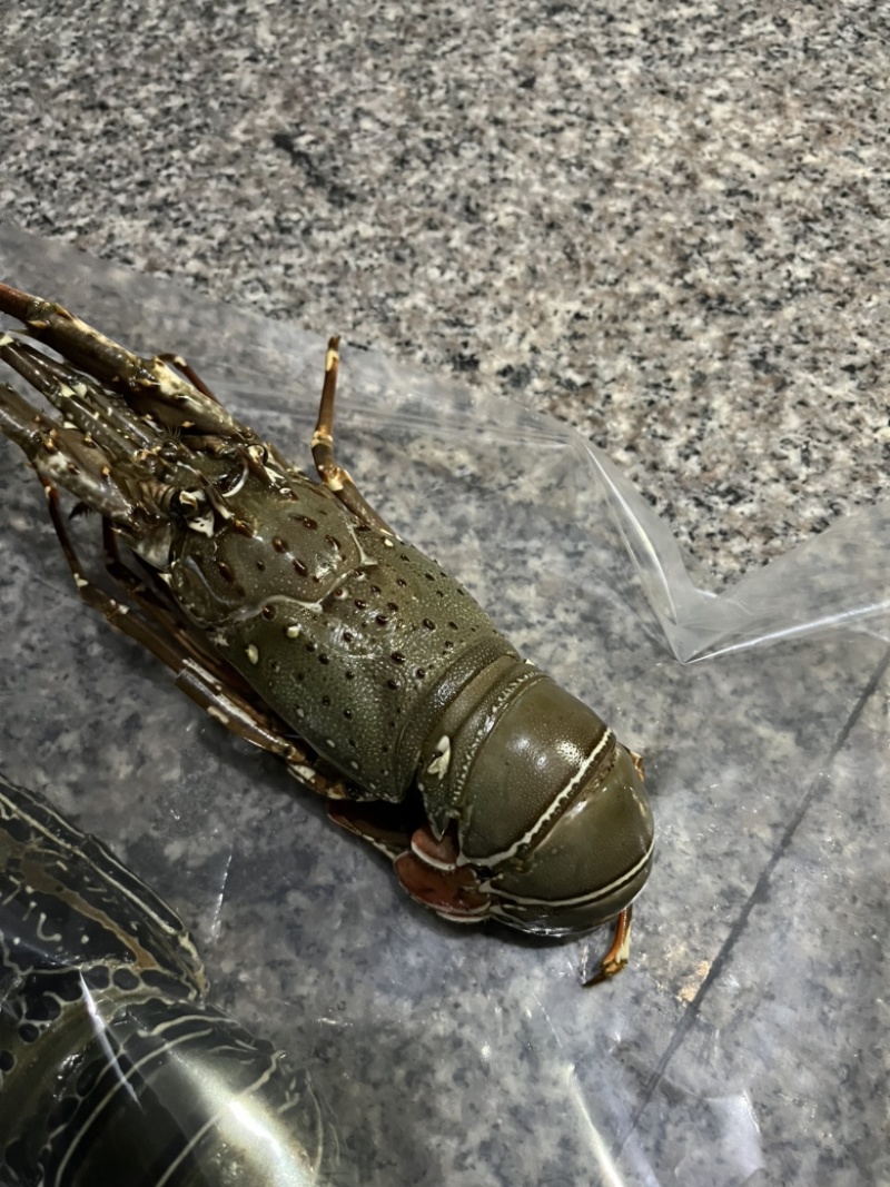 小青龙冻品