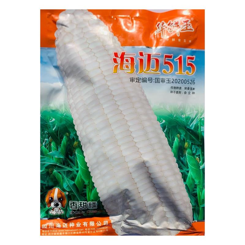 鲜食糯玉米种子海迈515国审玉米杂交种子糯甜无渣口感好春