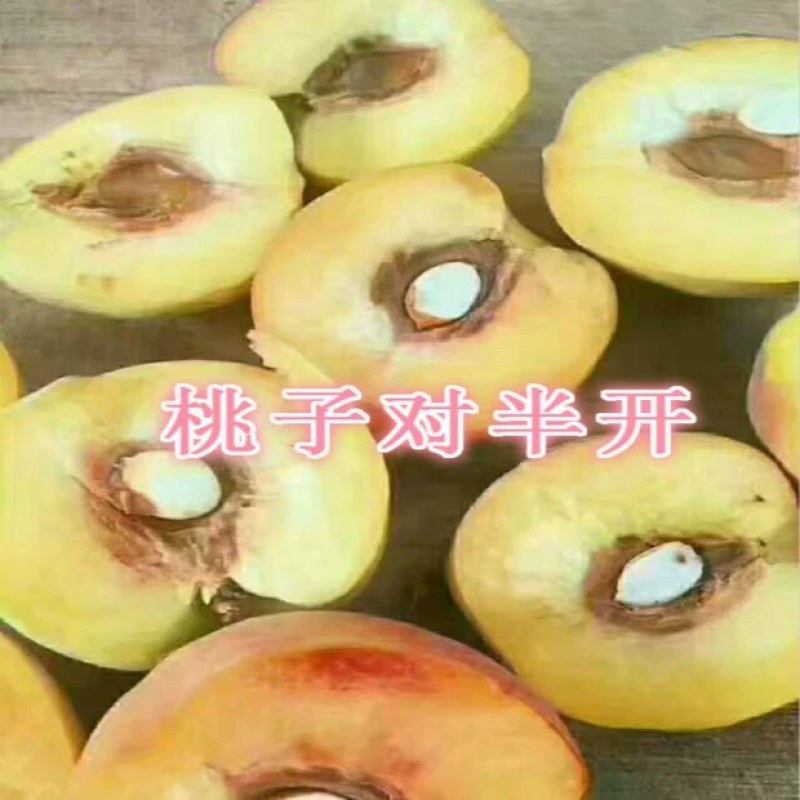 玻璃瓶手工黄桃罐头，工厂直发，货源充足，品质保证可视频