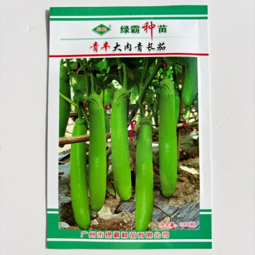 高产绿长茄子种子绿霸青丰大肉青长茄子种籽春季秋季盆栽蔬菜