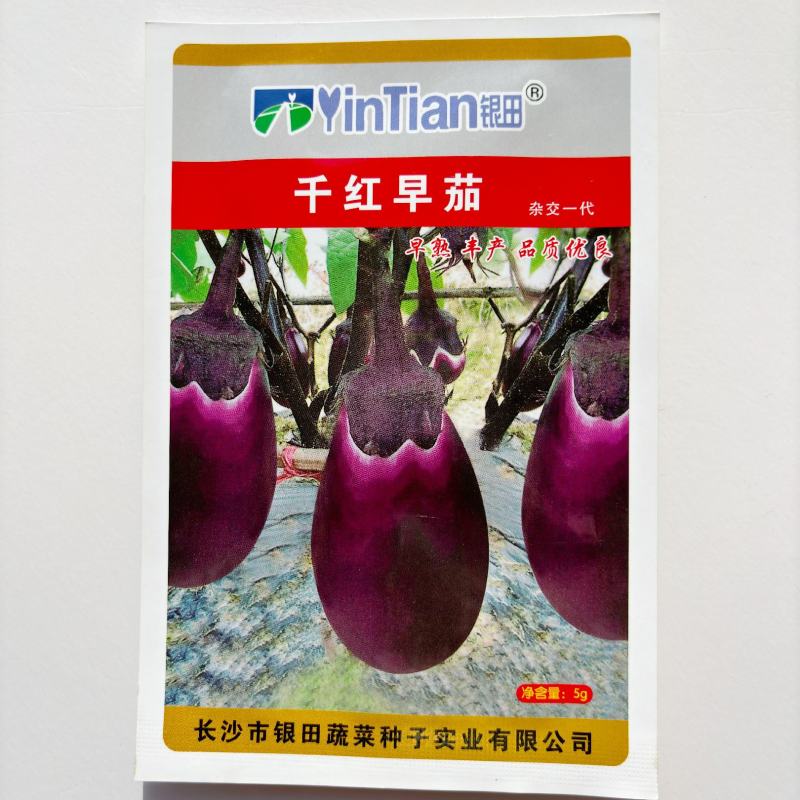高产绿长茄子种子绿霸青丰大肉青长茄子种籽春季秋季盆栽蔬菜