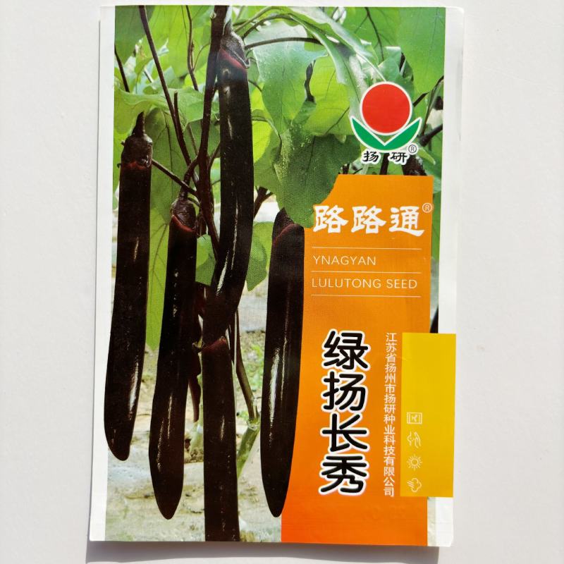 高产绿长茄子种子绿霸青丰大肉青长茄子种籽春季秋季盆栽蔬菜