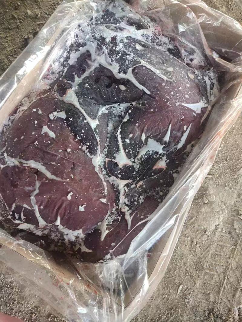 母猪猪肝，新货，长期生产，品质保证，供应稳定