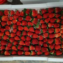 红颜草莓，太空草莓，大叶宁玉