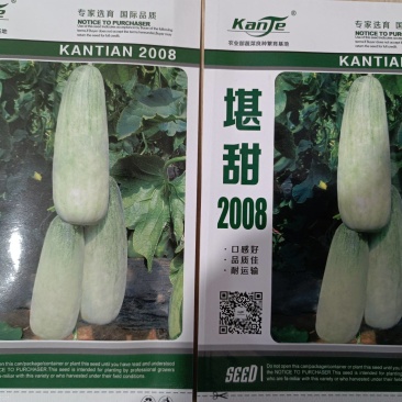 【推荐】杂交羊角种子蜜脆6号产量高糖度高口感好吃