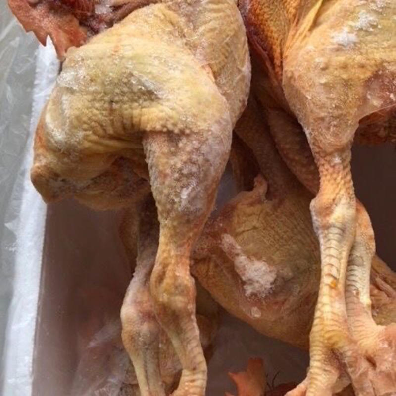 冷冻鸡肉四年老公鸡肉质紧实品质保证量大优惠厂家直发欢迎咨询