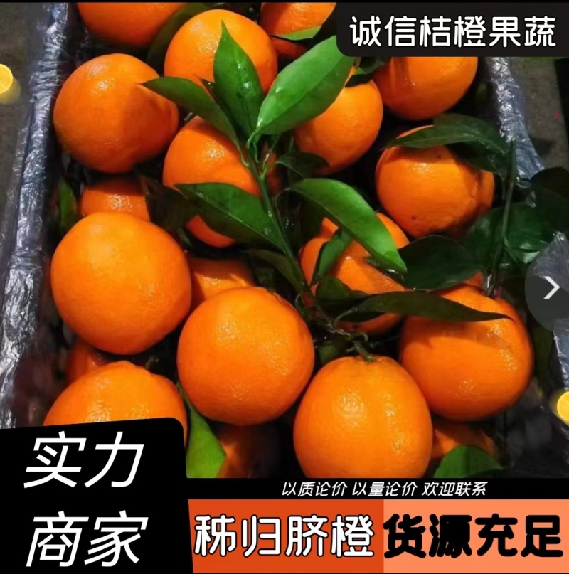 纽荷尔脐橙/秭归纽荷尔/圆虹水分足口感甜