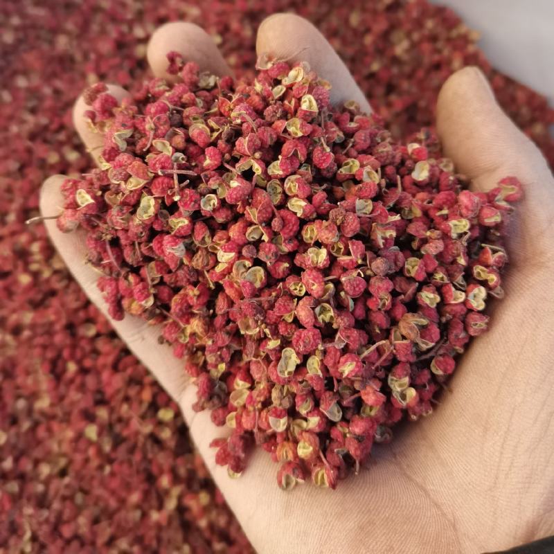 【精选花椒】包邮陕西新货大红袍花椒香麻味足自产自销