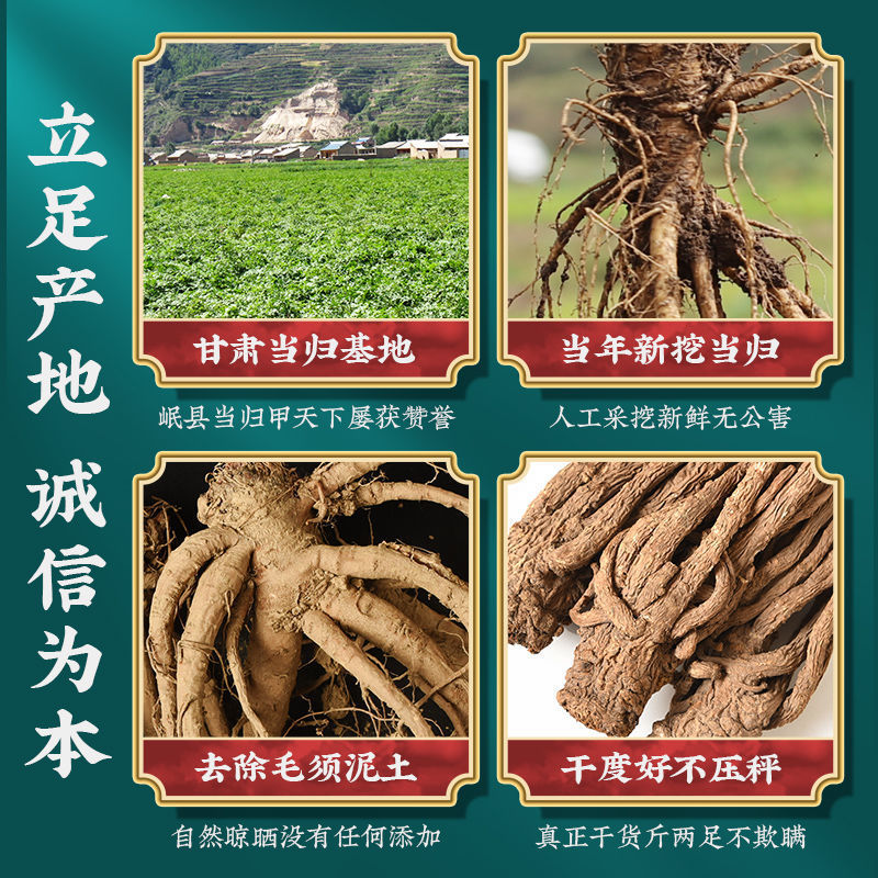 当归甘肃正宗岷县无硫磺干货批发可切片可配特级煲汤泡水不是