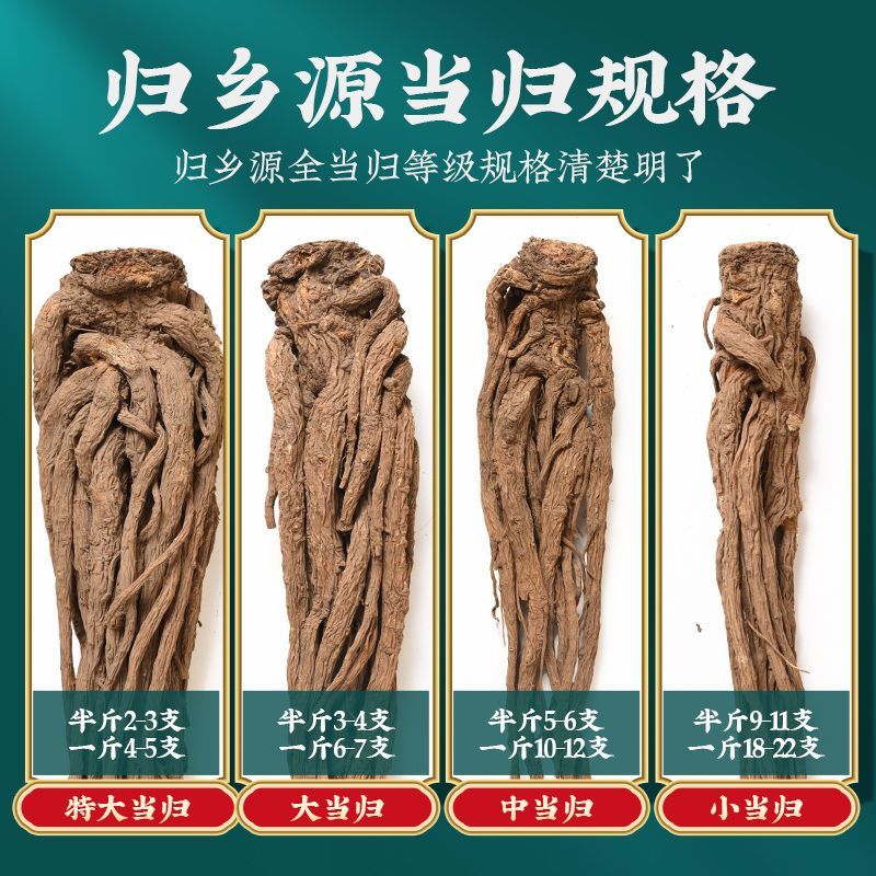 当归甘肃正宗岷县无硫磺干货批发可切片可配特级煲汤泡水不是