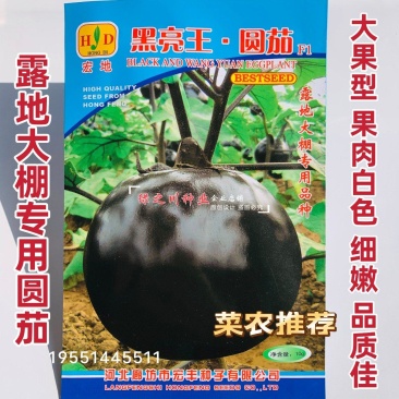 宏地黑亮王圆茄种子大棚露地专用茄子种子大号黑圆茄子种籽