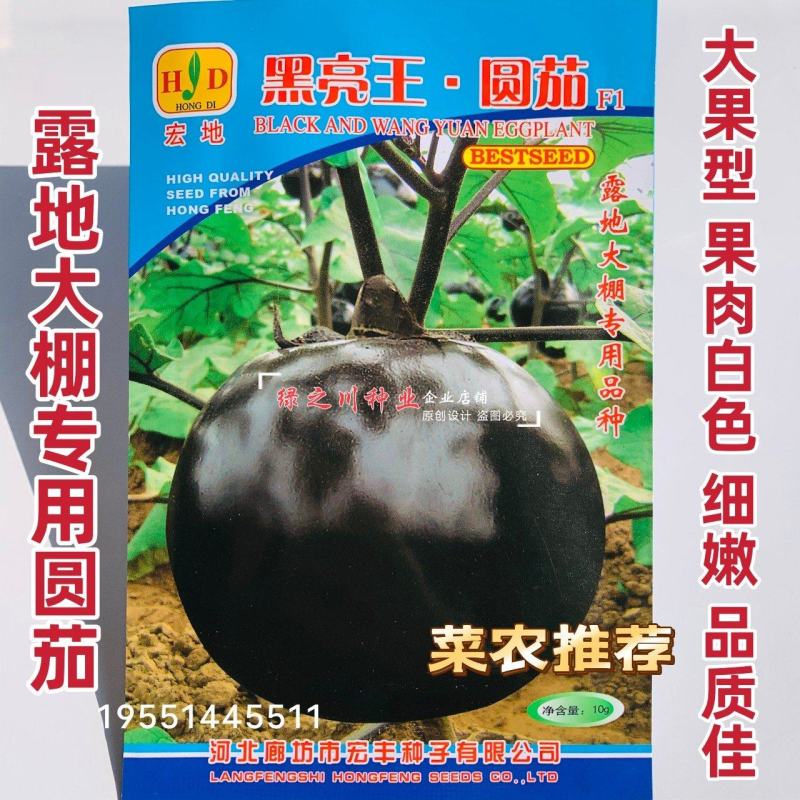 宏地黑亮王圆茄种子大棚露地专用茄子种子大号黑圆茄子种籽