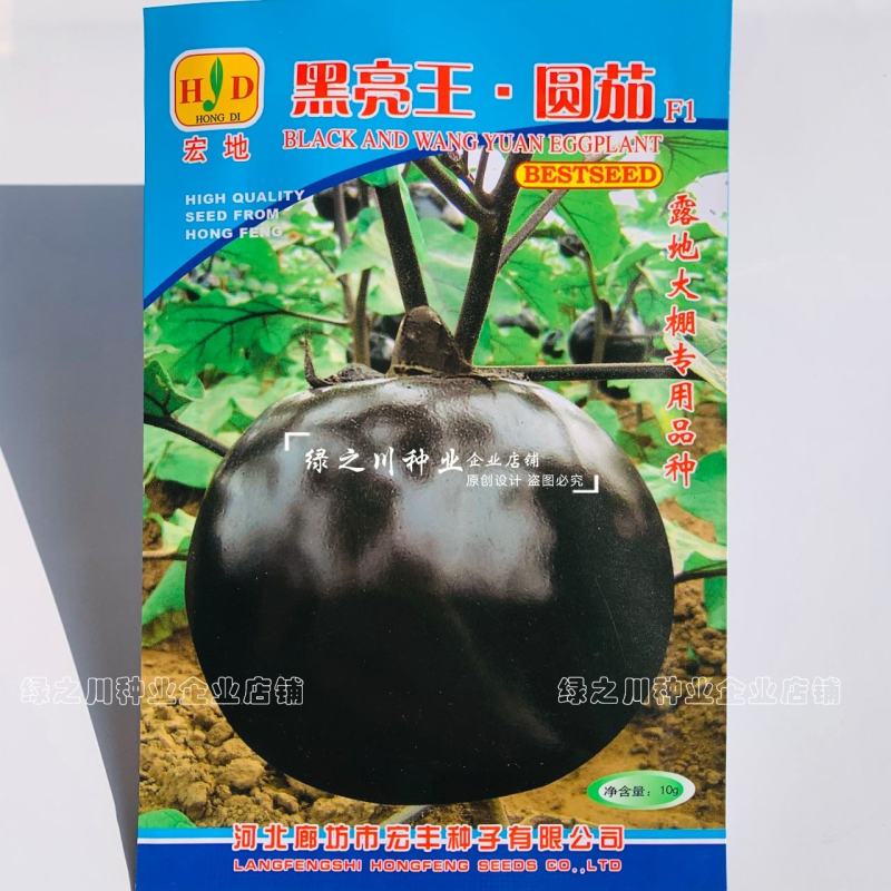 宏地黑亮王圆茄种子大棚露地专用茄子种子大号黑圆茄子种籽
