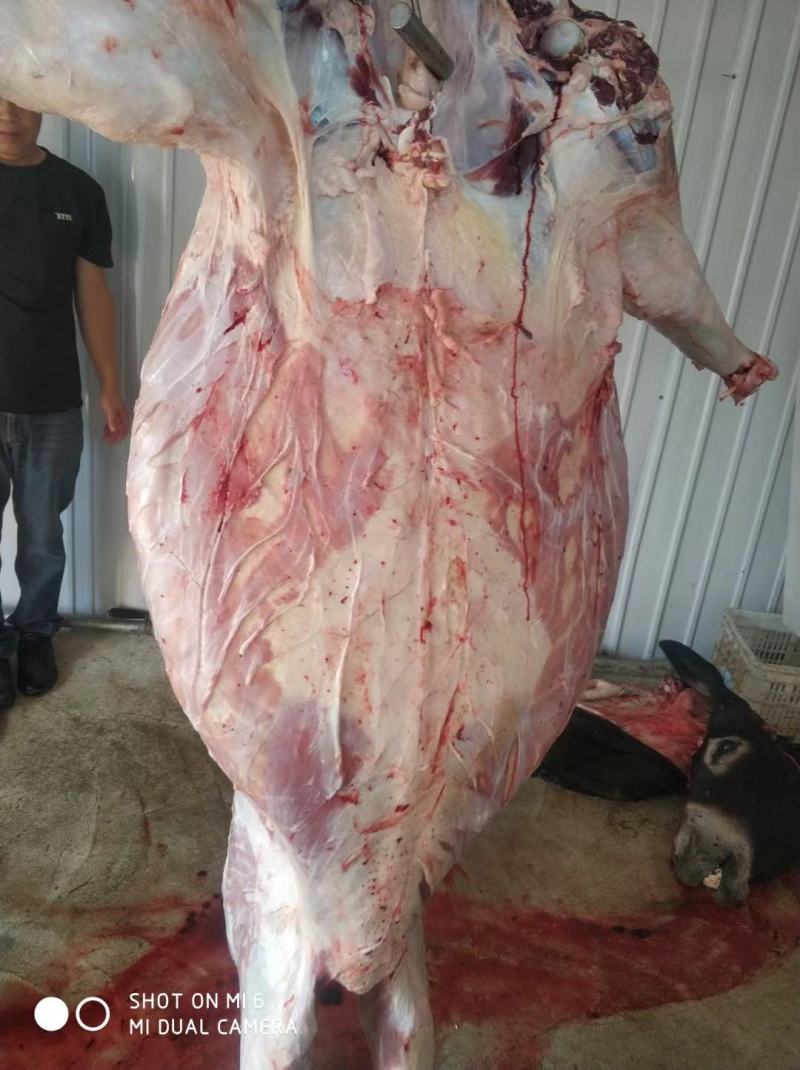 批零驴肉，欢迎大小采购商询价