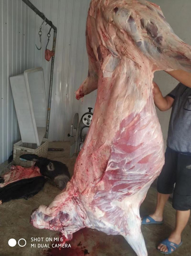 批零驴肉，欢迎大小采购商询价