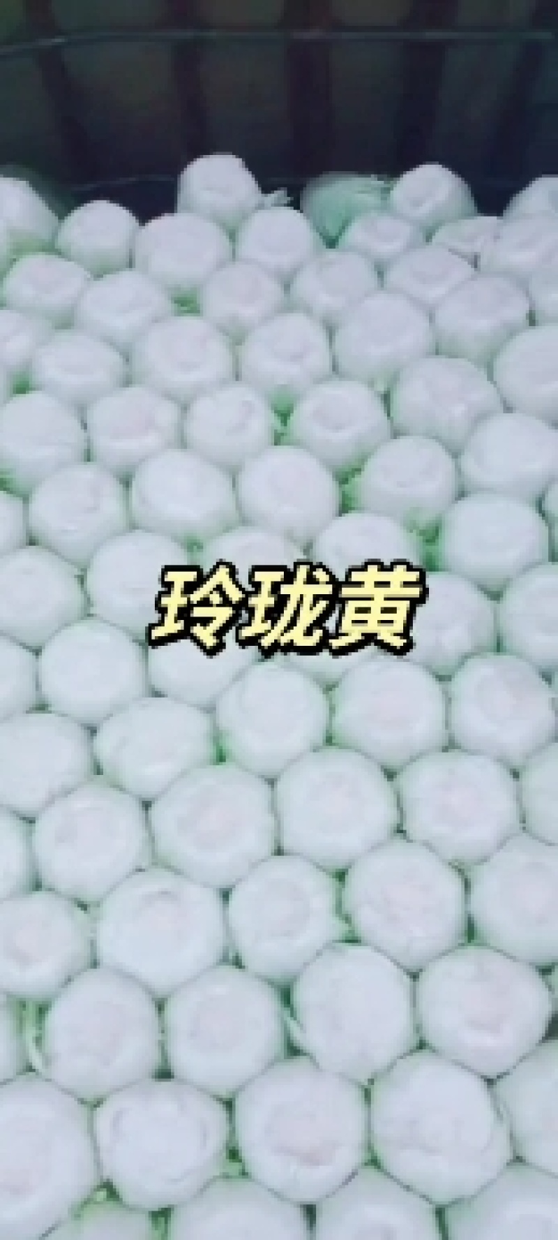 北京三号白菜玲珑黄3一6斤净菜并有专业团队为你服务
