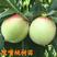 新品种桃树苗高产脆甜鹰嘴桃桃子稀有品种鹰嘴蜜桃苗
