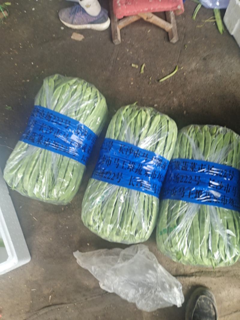 暖棚芸豆大量上市，质量好，价格便宜